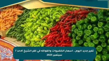 تغير جديد اليوم.. أسعار الخضروات والفواكه في كفر الشيخ الأحد 7 سبتمبر 2025